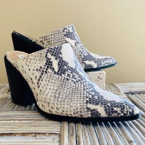 STEVE MADDEN SNAKE PYTHON SAVINA WESTERN MULES
